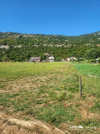 FOR SALE – Family property with large land and orchard, near Danilovgrad